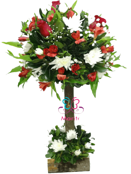 ARBOL_ROJO5_1-removebg-preview