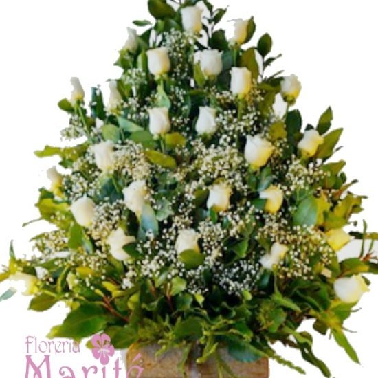 Ilusiones Blancas y Rosas