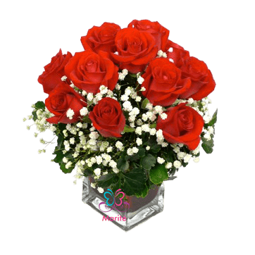 Rosas Cubo