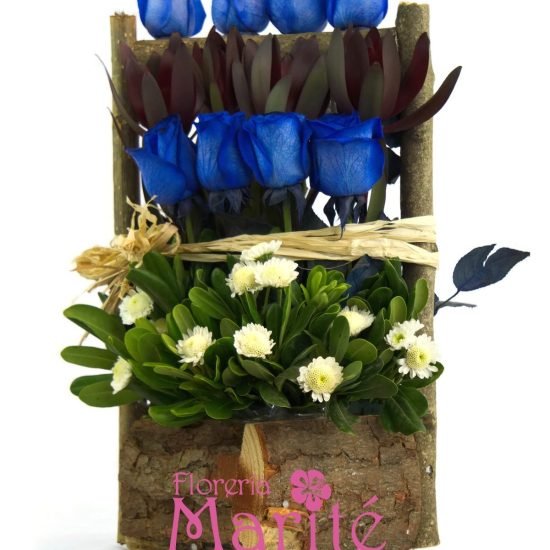 Escalado Rosas Azules y Proteas
