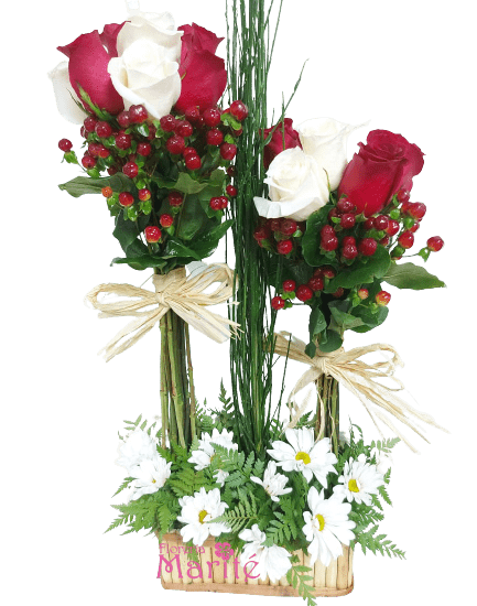 Elegantes Antorchas