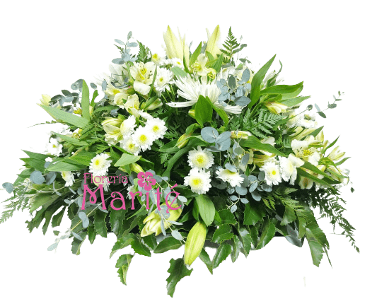 Cojin Blanco