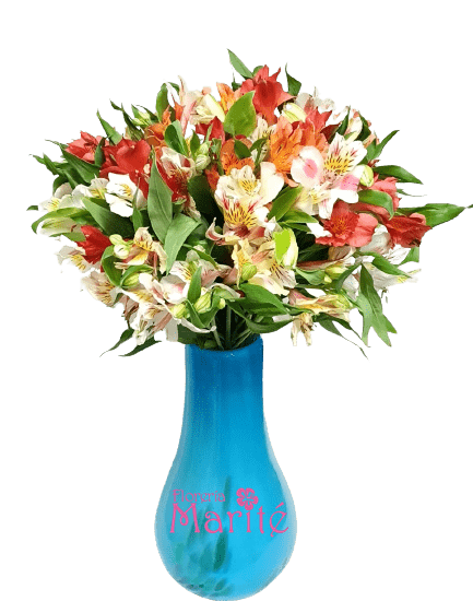 Florero de Astromelias