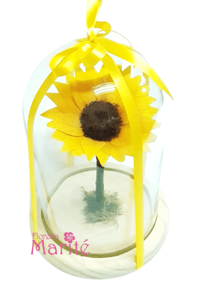 girasol-eterno-433x570
