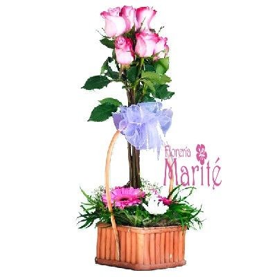Moñito de Rosas II