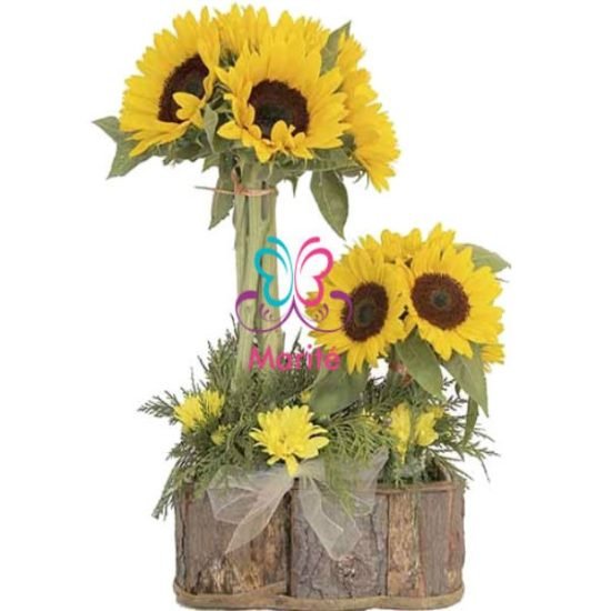 Torre de Girasoles