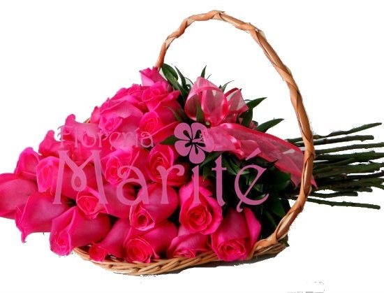 Violetero Fucsia