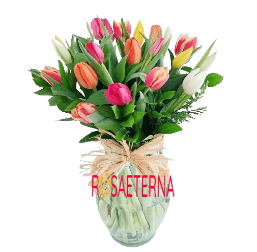 Samaritano 30 Tulipanes mix