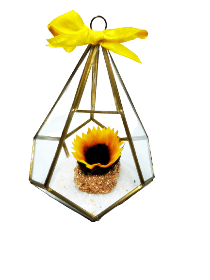 girasol eterno