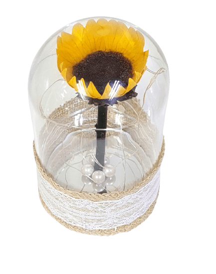 Girasol Encantado