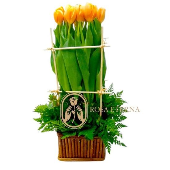Jardin de Tulipanes Naranjos
