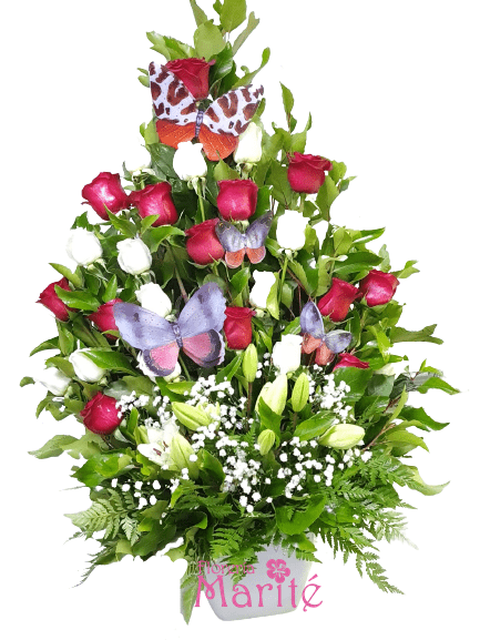 rosas-y-mariposas-rojo-blanco