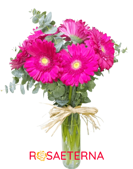 Florero de Gerberas Fucsias