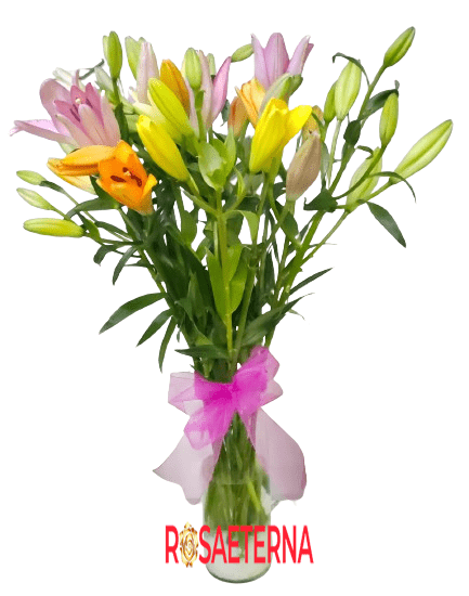 Cilindrico mix de Lilium