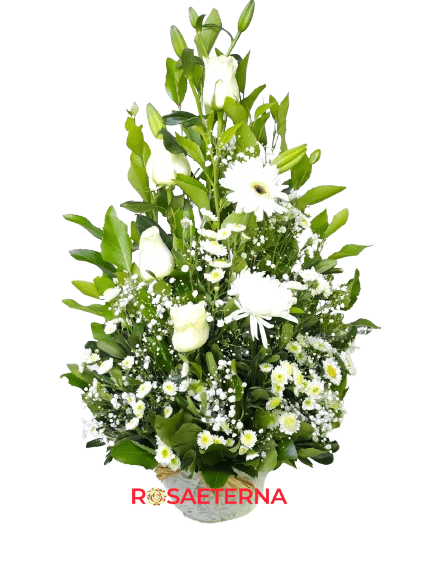 sencillo blanco