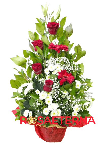 sencillo rojo e