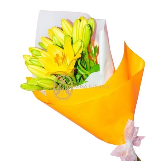 lilium amarillos