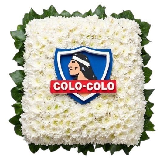 Cojin Floral Colo-Colo